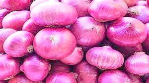 Marudhar Ka Tehlka | प्याज एक्सपोर्ट से हटाई शर्त,  किसानों को क्या फायदा