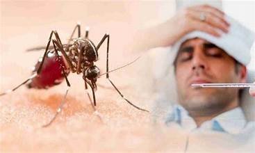 Marudhar Ka Tehlka | भोपाल में तेजी से बढ़ रहे डेंगू के मरीज, प्लेटलेट्स कम...