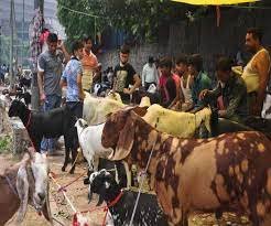 Marudhar Ka Tehlka | बकरीद के दौरान तीन दिनों के लिए ३ हजार मजदूर करेंगे काम