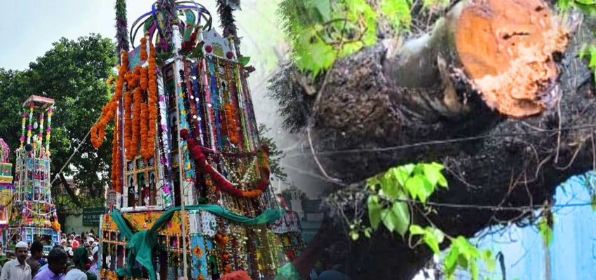 Marudhar Ka Tehlka | ताजिया के जुलूस के लिए हिंदुओं ने काट दी पवित्र पीपल की...